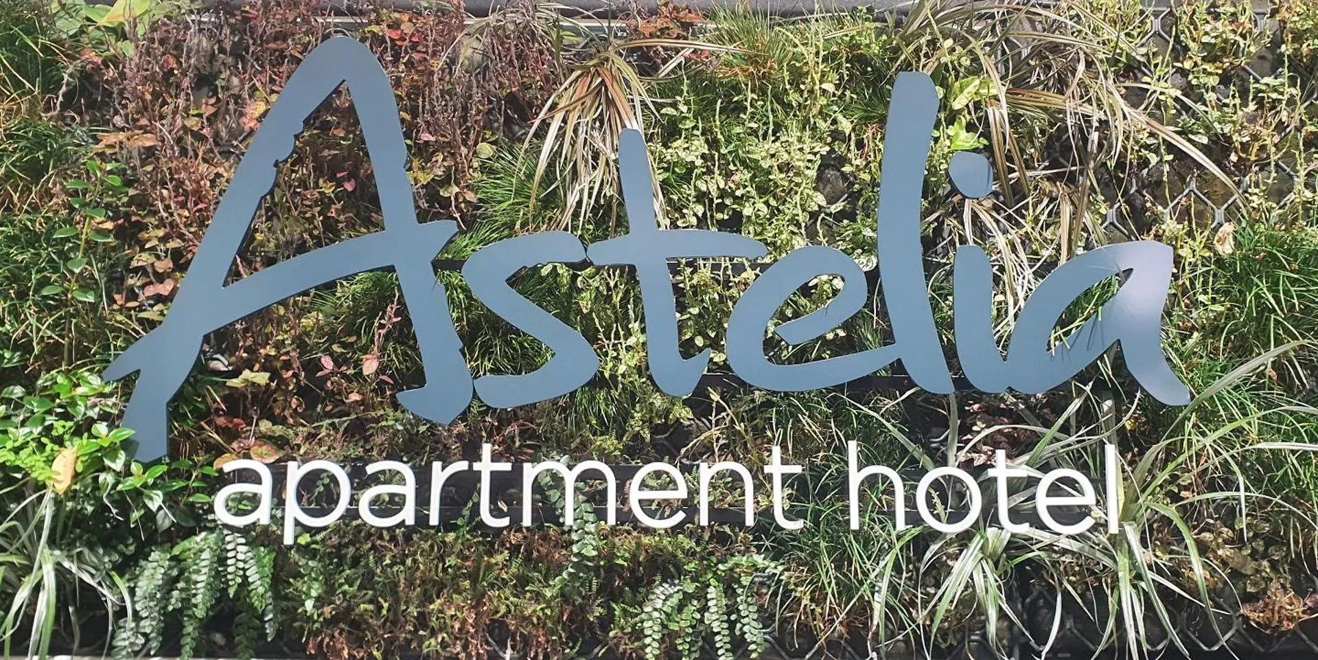 شقة فندقية ويلينغتون Astelia Apartment Hotel